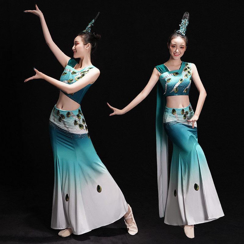 傣族舞蹈演出服装女云南东方鱼尾裙 韵岚诗民族服装/舞台装