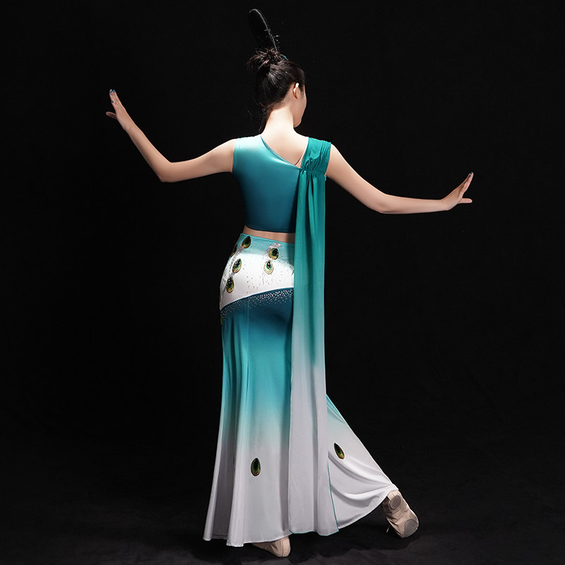 傣族舞蹈演出服装女云南东方鱼尾裙 韵岚诗民族服装/舞台装