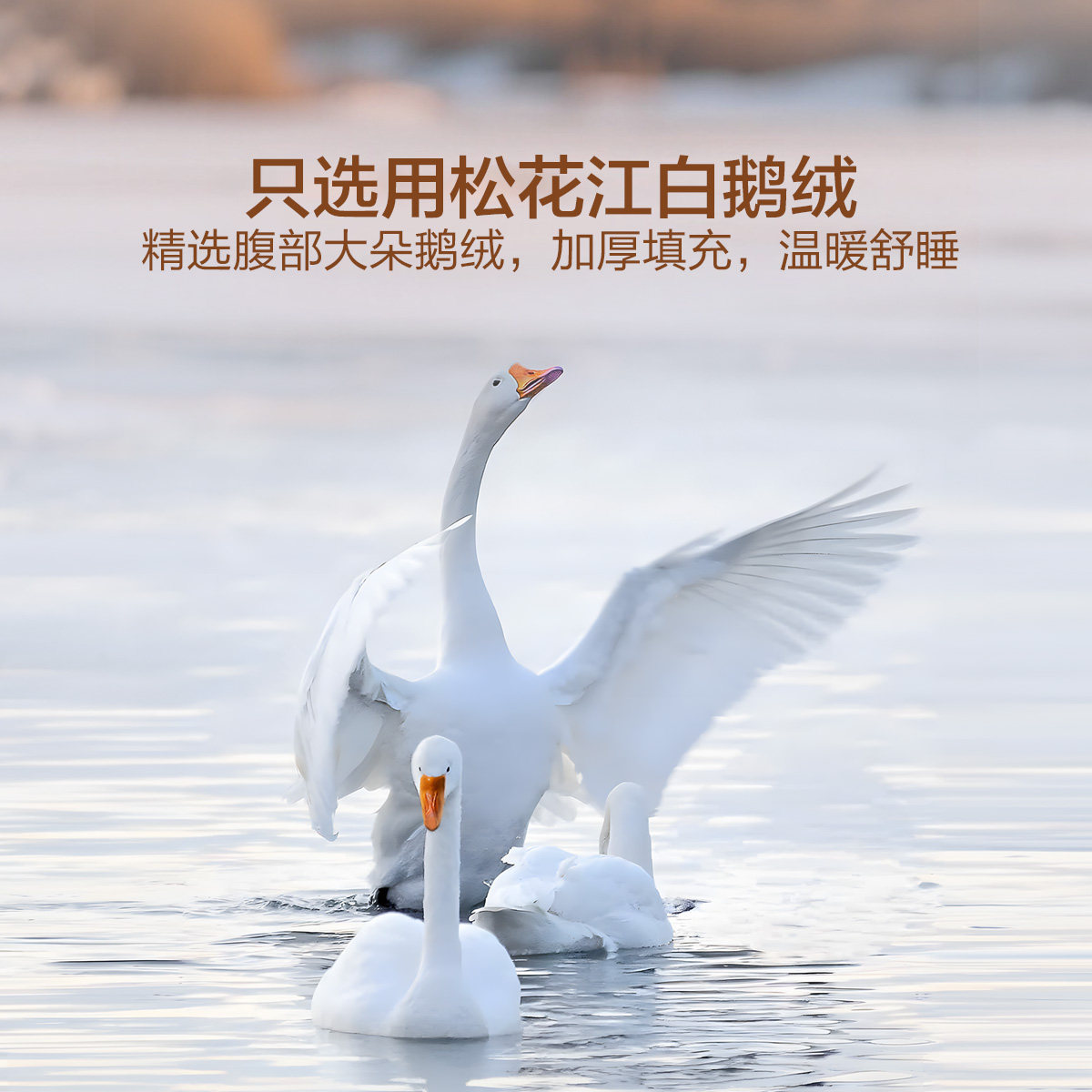 水星儿童95白鹅绒冬被子抑菌防螨加厚羽绒被A类秋冬保暖鹅绒被芯,淘宝优惠券,粉丝福利购,淘宝优惠卷