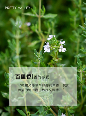 正品 汇美舍百里香精油5ml 净化毛孔提神护发去屑护肤香薰精油