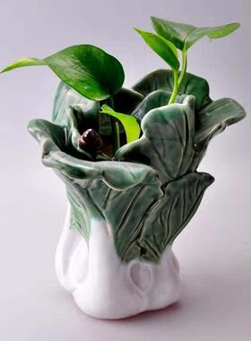 陶瓷石湾公仔旺盛水养种植花瓶