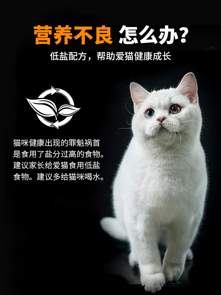 雷米高澳丽得猫粮10kg海洋鱼肉味成幼猫通用型内含20小包客优惠券 - 图0