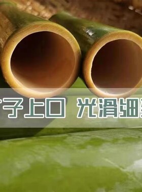 纯绿色手工竹筒粽子模具家用商用摆摊专用新鲜竹子制作竹筒糯米饭