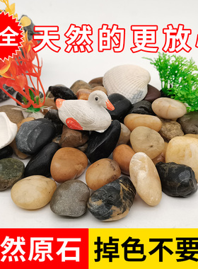 鱼池底部装饰品石头鱼缸里的庭院造景阳台摆件水缸水池小院流水景