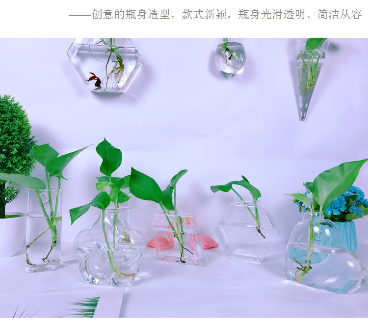 创意墙上壁挂花盆绿萝水培玻璃花瓶绿植餐厅简约客厅墙面壁饰挂件 - 图1