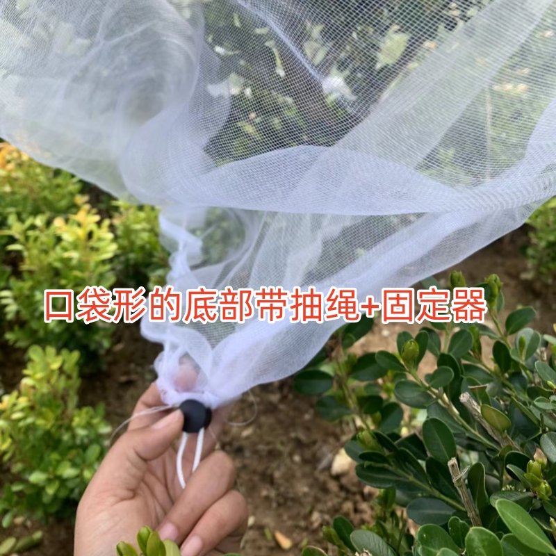 防虫网罩莲雾樱桃杨梅蓝莓果树防鸟防果蝇防蚊袋透气透光抗老化 - 图2