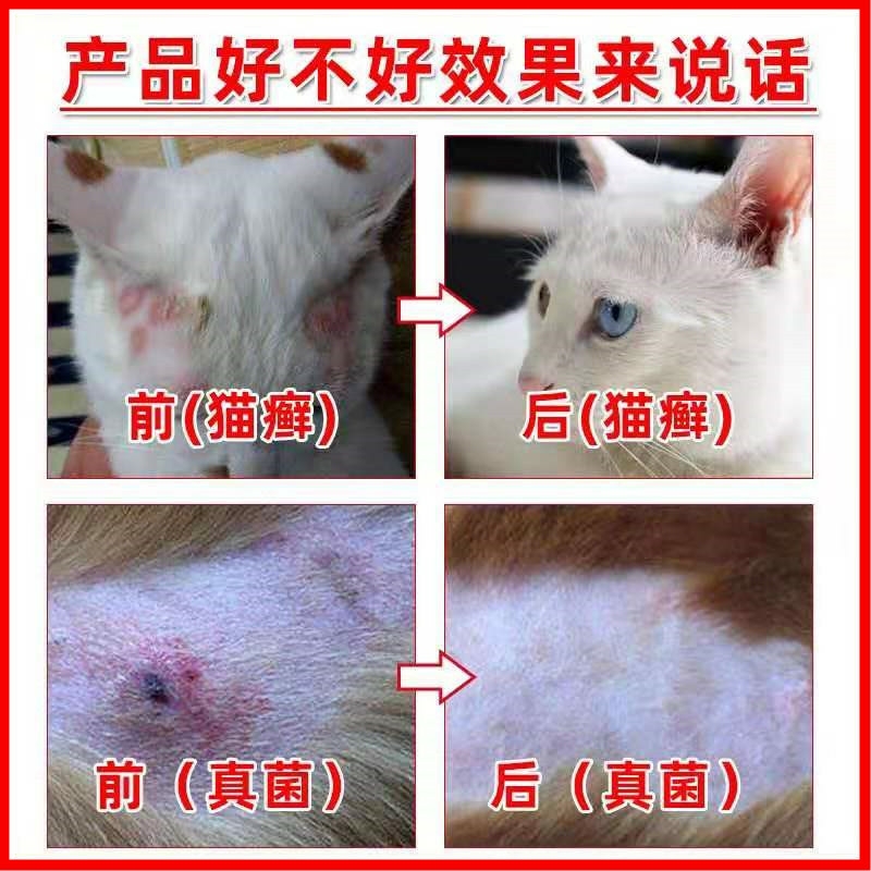 【猫藓克星】猫癣专用药猫咪皮肤病瘙痒脱毛幼猫真菌感染外用喷剂 - 图2