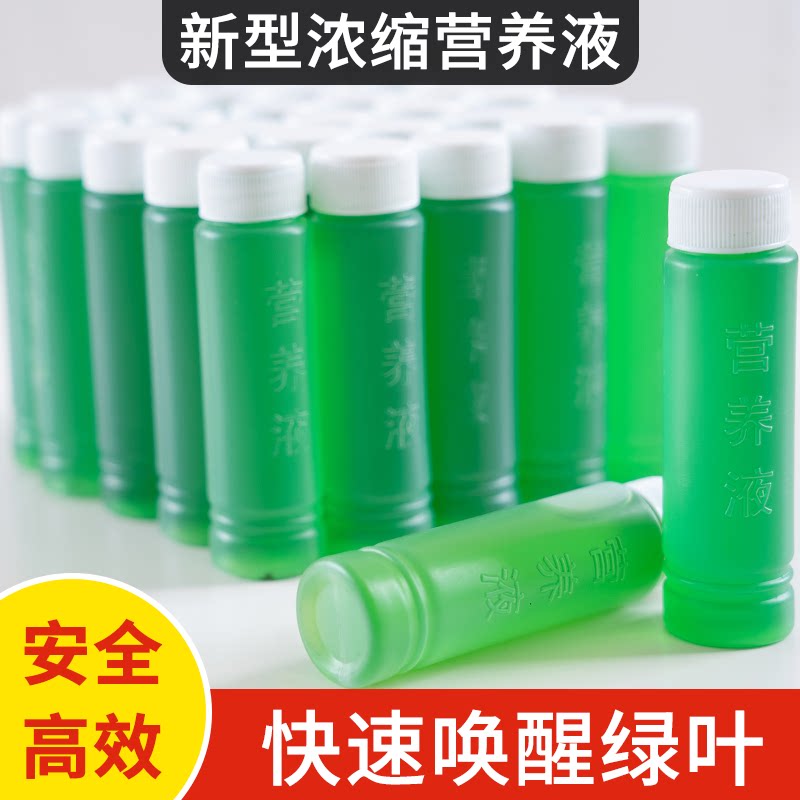 水培植物通用营养液多肉盆栽花木观叶肥料养花富贵竹水养绿箩绿叶