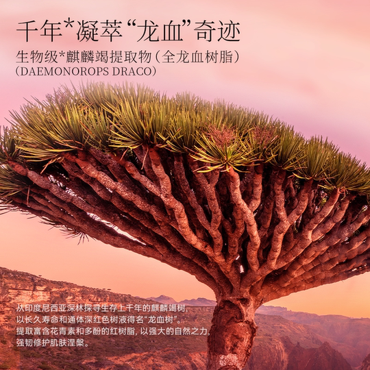 FAN BEAUTY DIARY Fan Bingbing's same style as sea grape tremella hydrating and moisturizing mask experience