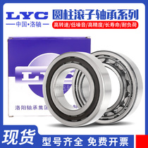 Luoyang cylindrical roller bearings NU202 203204205206207208209210 211EW