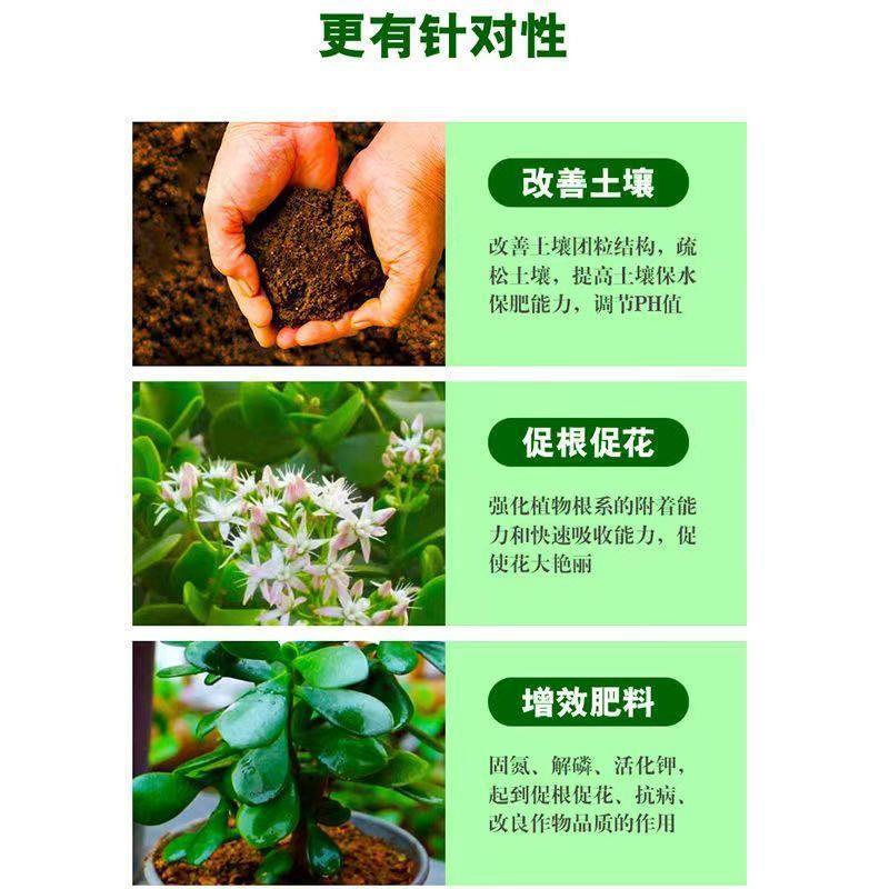 玉树专用肥花肥料绿叶营养液盆景盆栽复合肥有机肥家庭四季缓释肥-图2