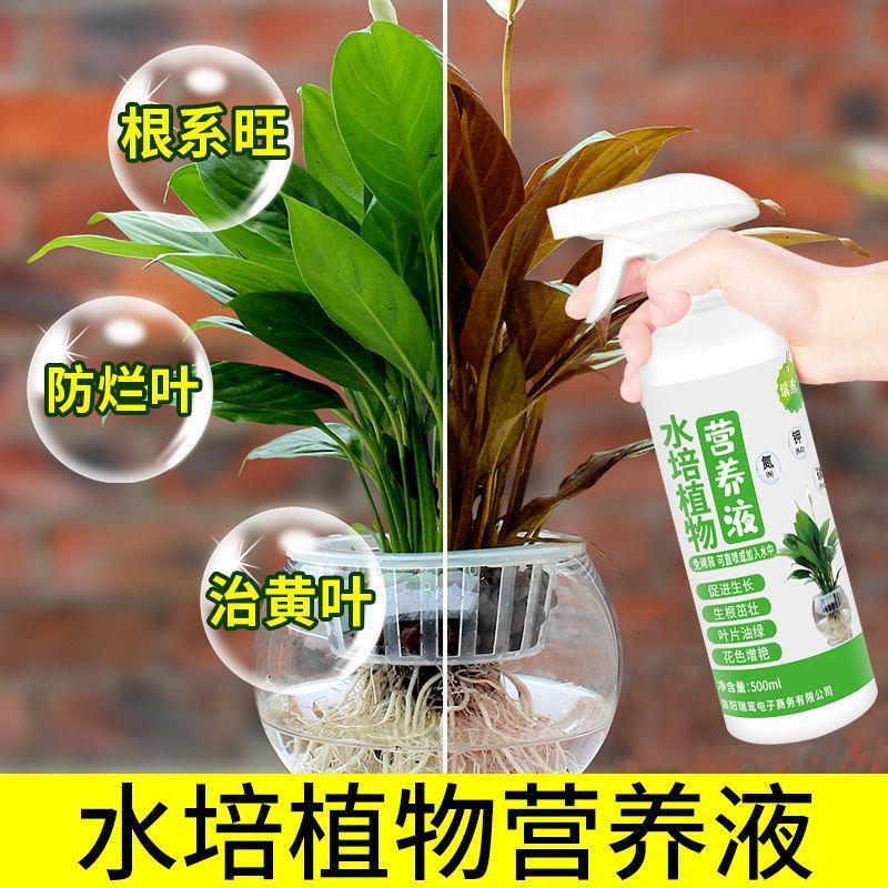 适合各种花的营养液水培植物营养液通用型富贵竹兰生根药水免稀释 - 图0