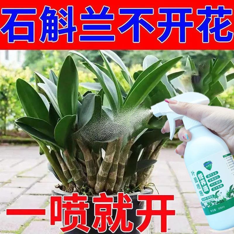 营养液养花专用通用石斛兰专用植物营养液催新芽治黄叶防软腐花肥-图1