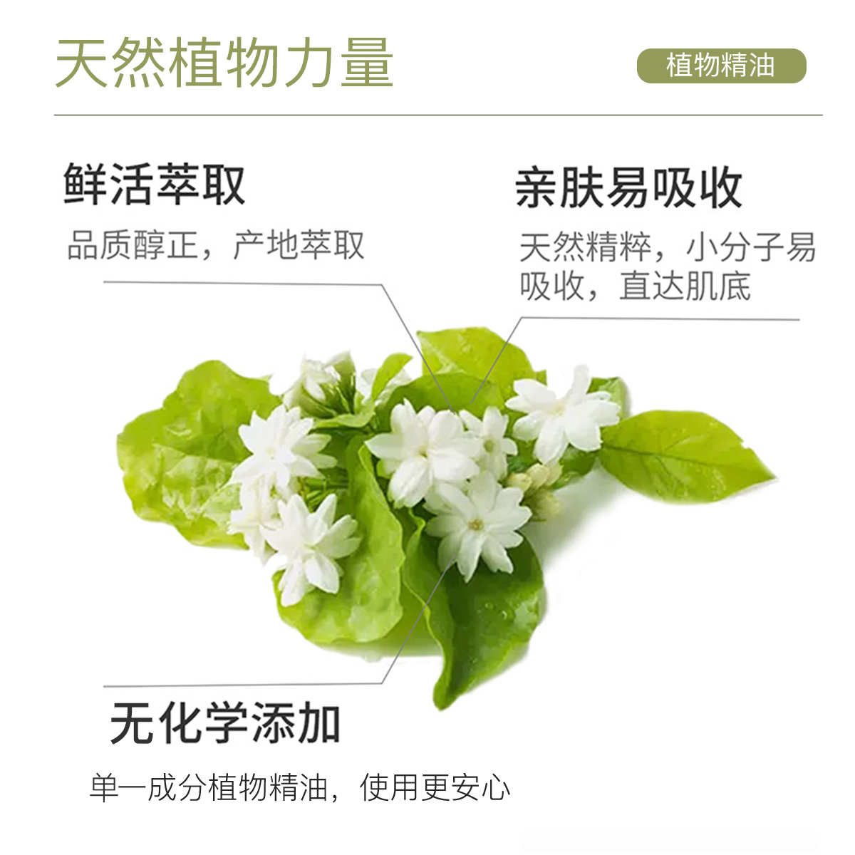 ZRZR茉莉精油保湿提亮面部按摩 护发 家居香氛香薰舒缓压力