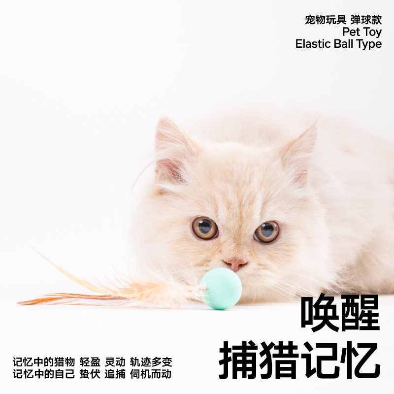 Pidan皮蛋猫玩具羽毛弹力球逗猫棒小猫幼猫自嗨解闷神器猫咪用品 - 图3