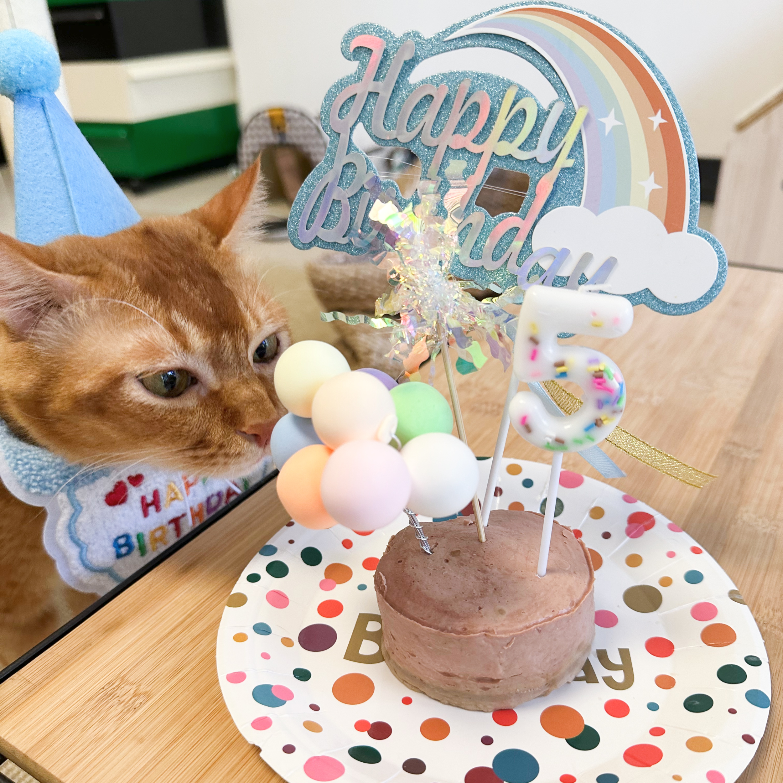 它哩宠物猫咪狗狗生日派对装饰装扮围脖拍照道具围巾帽子围兜蛋糕 - 图0