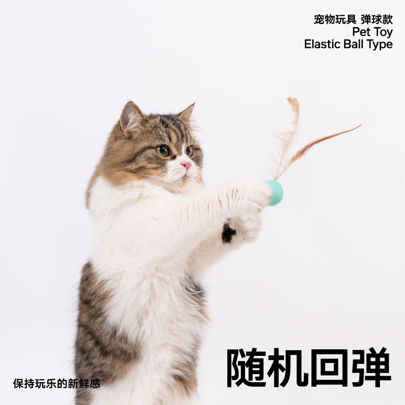 Pidan皮蛋猫玩具羽毛弹力球逗猫棒小猫幼猫自嗨解闷神器猫咪用品 - 图2