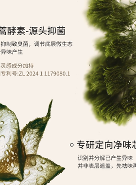 【新品上市】AMAXY止汗露走珠香体露腋下除臭止汗净味舒缓香体膏
