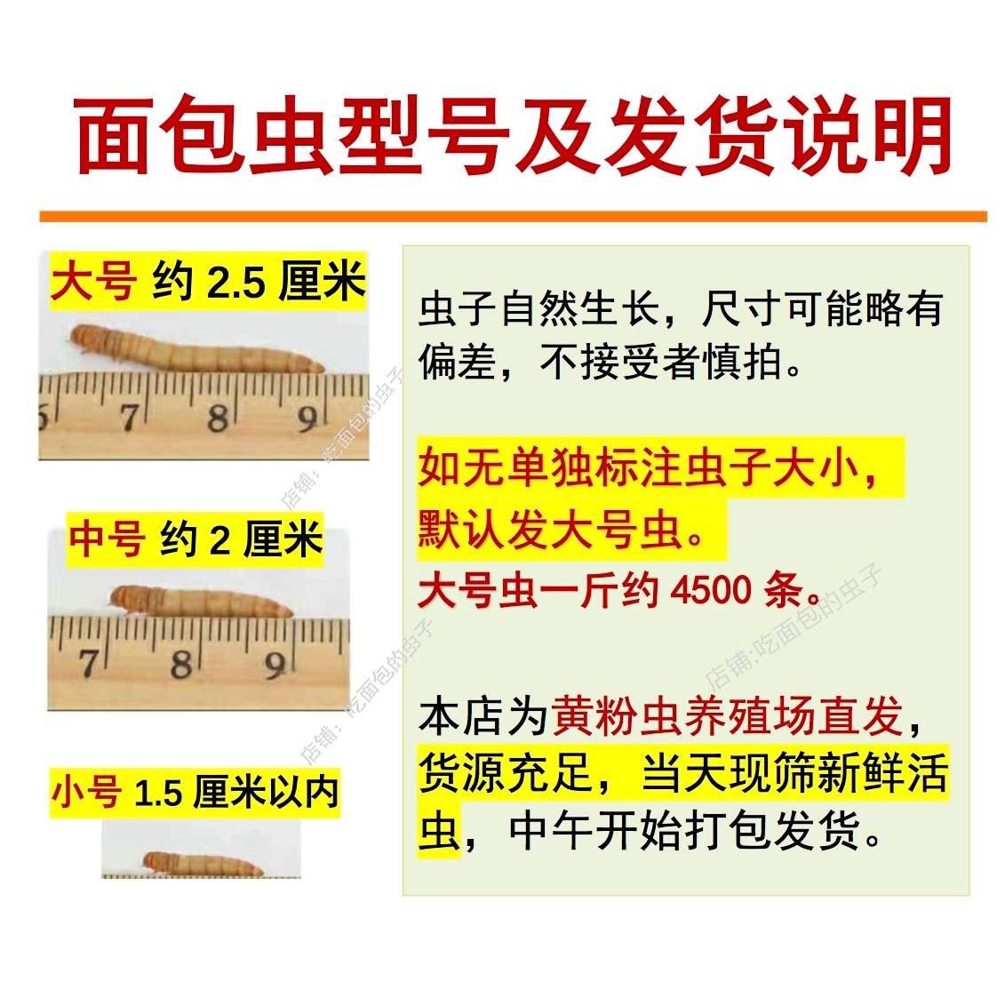 面包虫黄粉虫活虫鲜活体宠物饲料鱼鸟蛙守宫蝎子仓鼠爬宠食物包邮-图2