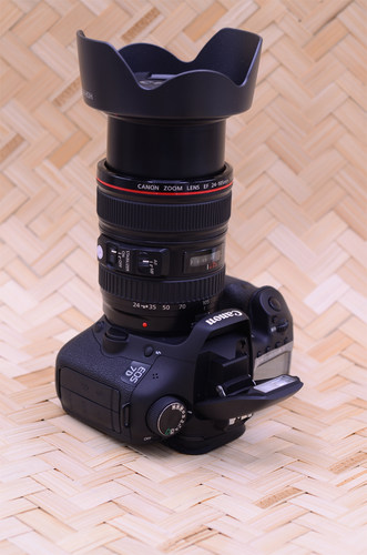 佳能EOS 7D专业高清数码单反相机中高端新款旅游套机7D270D60D5D2 - 图2