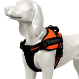 Truelove Dog Bessmer Bess Refrap Pet Offerice Traction Togne Walking Dog Большая собака маленькая и средняя собака маленькая и средняя собака Tlh5753