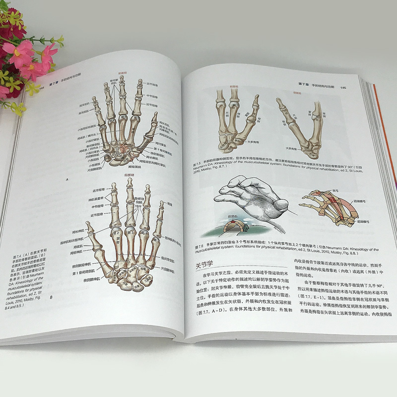 基础肌动学 第4四版 肌肉骨骼系统的结构和功能 保罗杰克逊曼斯菲尔德 图谱肌动力学 筋膜解剖书 医学书籍 北京科学技术出版社 - 图3