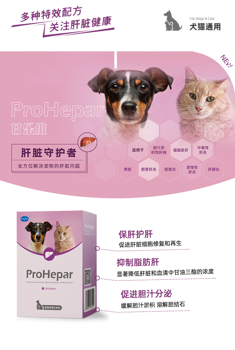 甘乐维猫狗狗胆管炎脂肪肝慢性肝炎肝硬化胆汁淤积保肝护肝 - 图2