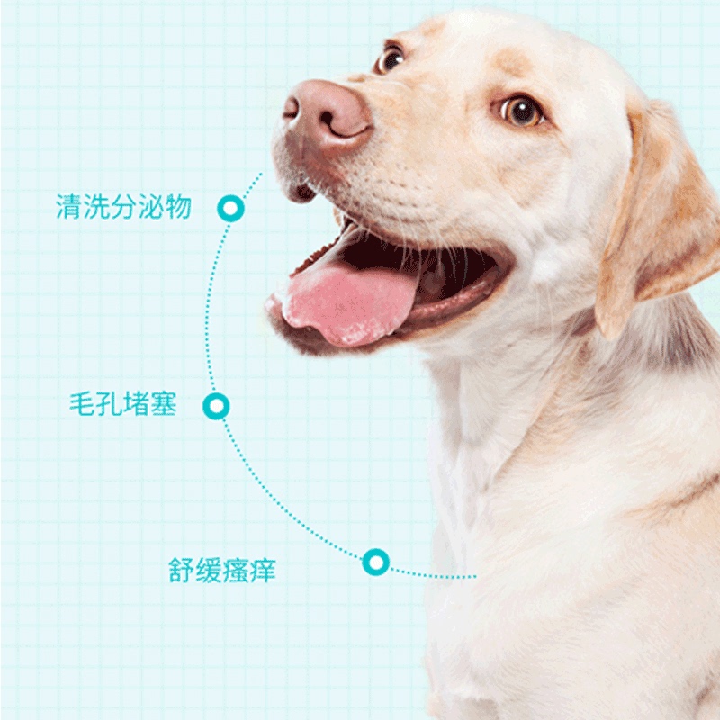 可鲁lyso生物酶功能棉片猫咪黑下巴清洁专用奶藓药毛囊炎猫狗皮肤-图2