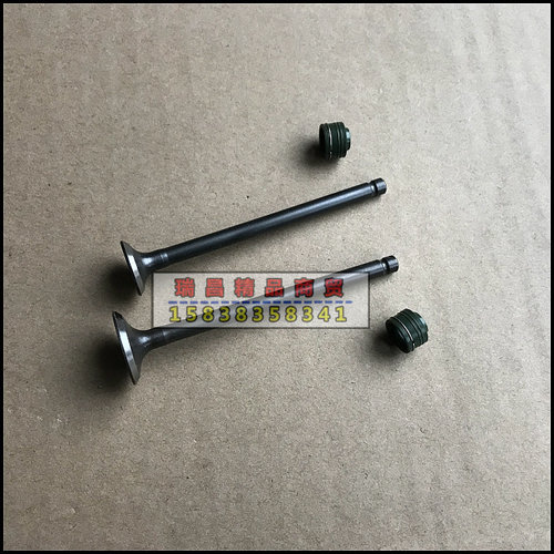 SDH50QT-41/40/42自由/世纪梦/天涯丽人 气门 气门油封 - 图2