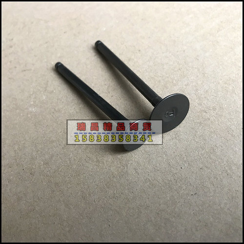 SDH50QT-41/40/42自由/世纪梦/天涯丽人 气门 气门油封 - 图0