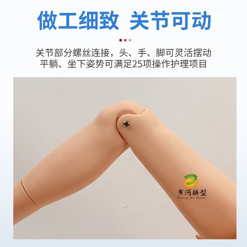多功能护理人模型医学假人护士练习操作教学模特模拟人体模型男女 - 图2