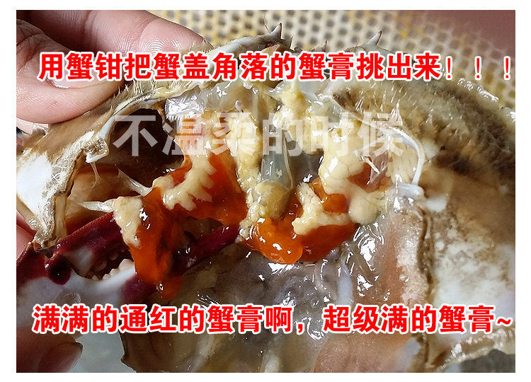 红膏呛蟹即食醉蟹山东羊口特产整只酱蟹莱州母蟹梭子蟹生腌咸炝蟹-图0