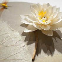 Modern New Chinese Living Room Wall Sofa Background Wall Decoration Pendant Wall Idea Solid Lotus Flower Decoration Pendant