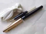 Yueguzhai Hunan Shaoyang Golden Pen Factory 703 Подлинные ручки.