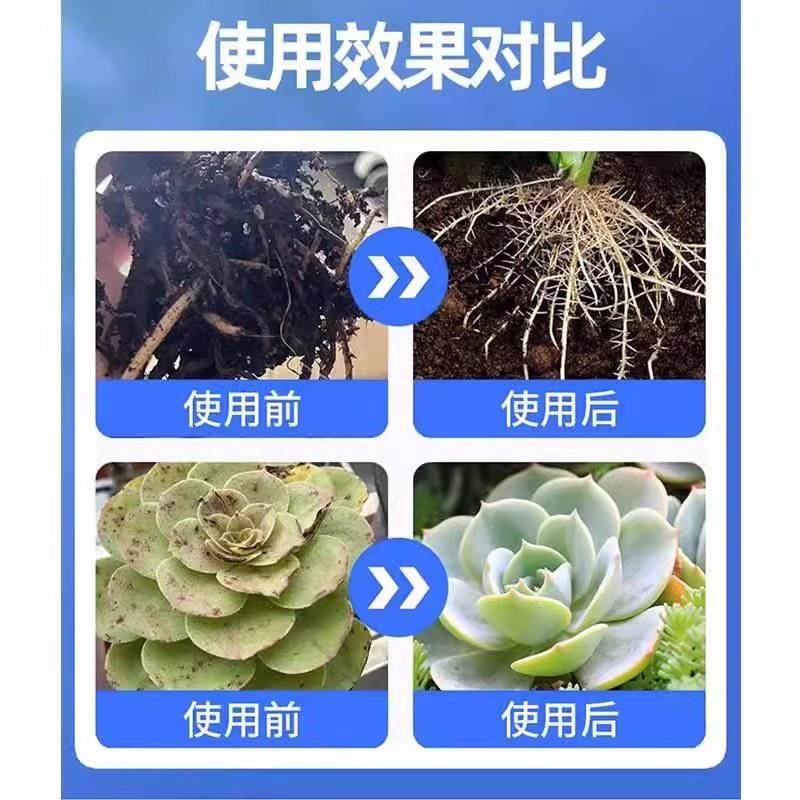 植物菌立清杀菌剂通用免稀释微生物菌剂盆栽绿植抑菌营养液花肥料-图2