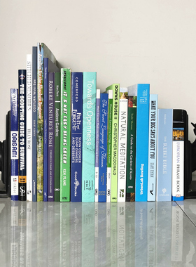 别墅样板间茶几摆件画册真书饰品