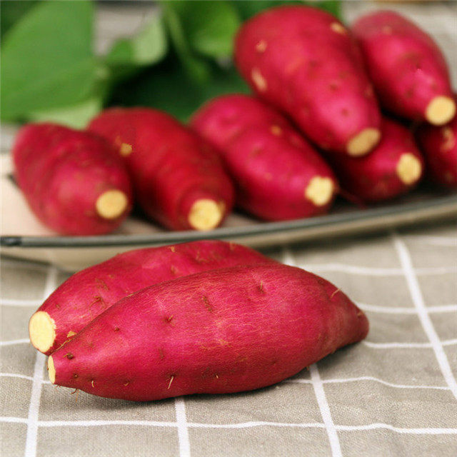 临安小香薯10斤天目山迷你小红薯 薯你棒番薯