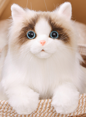 仿真克隆布偶猫猫咪可爱公仔摆件