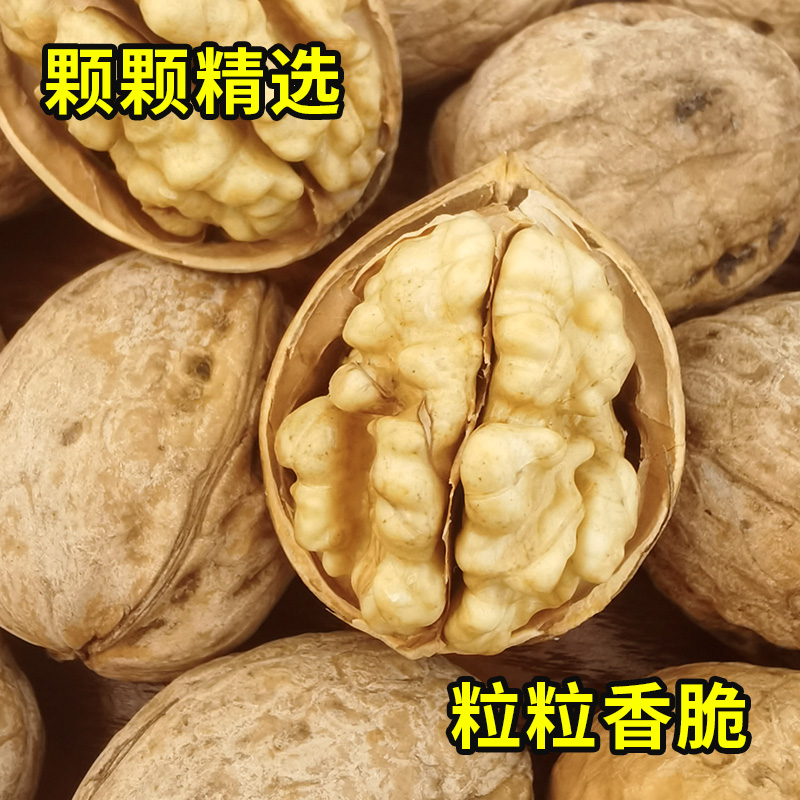 纸皮核桃新货正宗新疆阿克苏185带壳核桃一捏就碎原味无添加500g - 图0