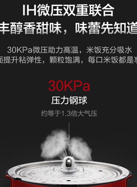 格力大松4升双胆微压电饭煲