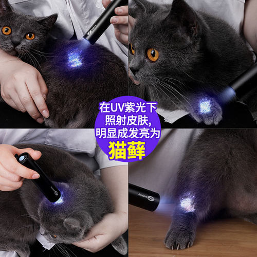 伍德氏灯照猫藓尿手电筒紫外线荧光剂孔雀石绿365验钞紫光灯专用 - 图1