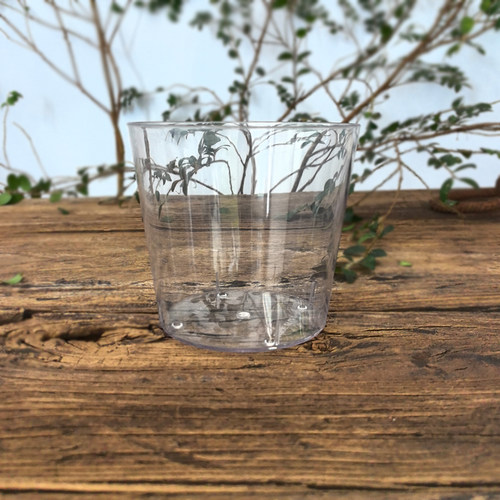 PET高透加厚圆口蝴蝶兰角堇花盆热植花卉盆栽办公桌 多肉块球根盆 - 图3