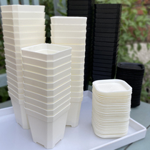 Hot Sell Aniseed Thickened Small White Square Multi Meat Flower Pot Special Thick Plastic Square Plant Leaf Intercalation Nursery Basin Big Black Square Basin