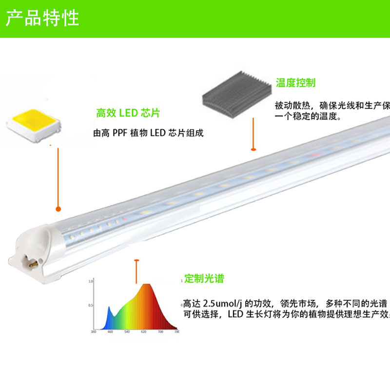 led全光谱植物生长灯室内花架双排红蓝光多肉绿植组培种植补光灯,淘宝优惠券,粉丝福利购,淘宝优惠卷