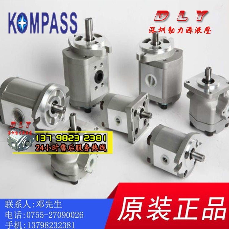 KOMPASS泵P204/P206/P208/P211/P214/P216/P219/P222/P225LP01DT-图3