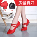 Plaza Dance Shoes new Dance Shouse Женская мягкая дна на каблуках обувь для взрослых четыре сезона танцевать туфли женская квадратная танце