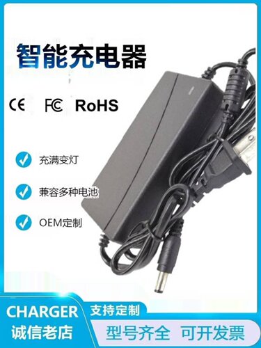 21V3A4A5A1A2A锂电池充电器手电钻螺丝冲击钻电动扳手21V-98V通用 - 图2