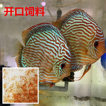 Wild Natural Frozen Fullyear Shrimp Seven Colorful Gods Fairy Fish Ornamental Fish Feed Hair Color Opening Feed