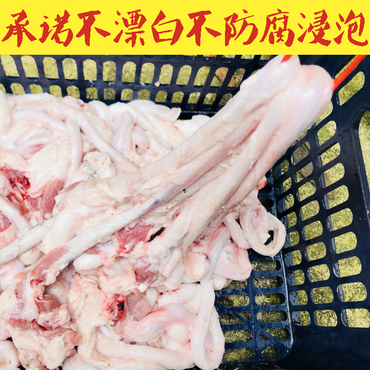 【新鲜猪鞭拍2份包邮烧烤食材】少油猪鞭猪卵精品猪鞭串串猪鞭-图2