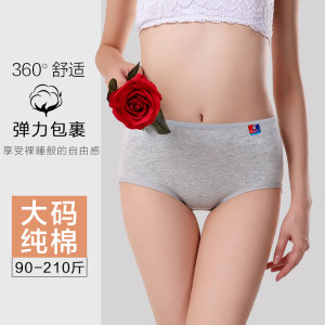北极绒女士内裤女纯棉裆中腰透气无痕胖MM日系全棉大码三角短裤头